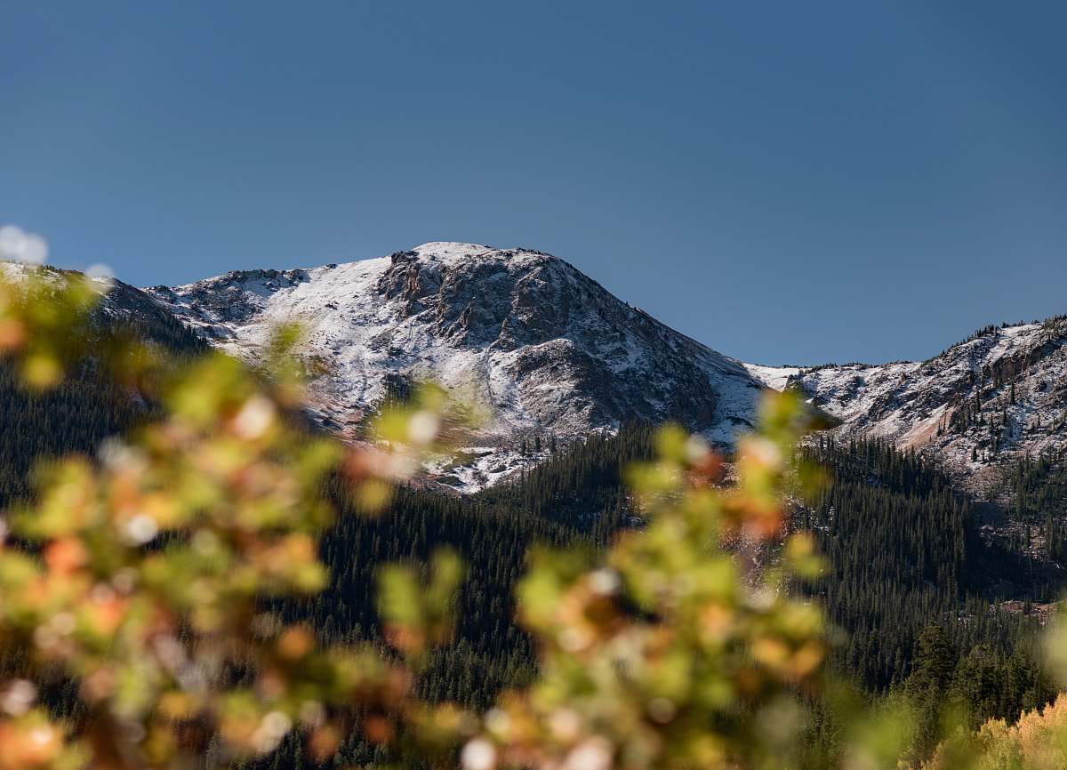 mountain range snowy mountain near green trees nature